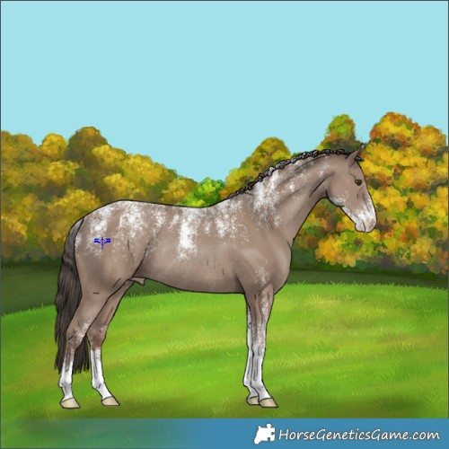 Horse Color:Powder White Classic Champagne Rabicano 