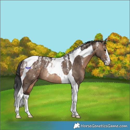 Horse Color:Powder White Brown Dun Tobiano Rabicano 