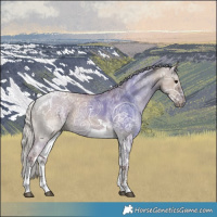 Horse Color:Silver Grullo Ice Tobiano 
