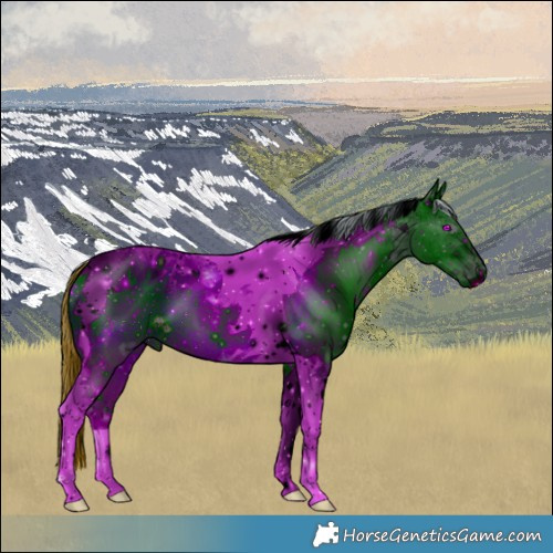 Horse Color:ERROR: UNKNOWN ANOMALY