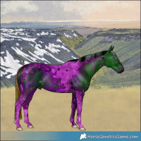 Horse Color:ERROR: UNKNOWN ANOMALY