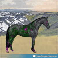 Horse Color:ERROR: UNKNOWN ANOMALY