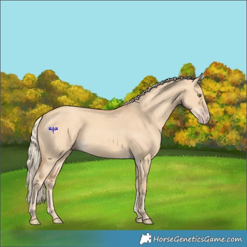 Horse Color:Gold Champagne Dun 