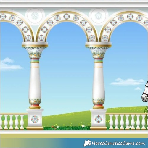 Horse Color:Powder White Gray White Spotted Brown 