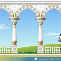 Horse Color:Powder White Gray White Spotted Brown