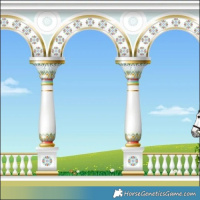 Horse Color:Powder White Gray White Spotted Brown 