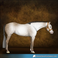 Horse Color:Gray Classic Cream Champagne 