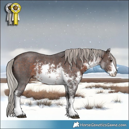 Horse Color:White Spotted Silver Brown Sabino 