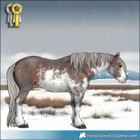 Horse Color:White Spotted Silver Brown Sabino