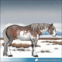 Horse Color:White Spotted Silver Brown Sabino 