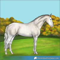 Horse Color:Silver Buckskin Roan Pearl Splash