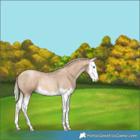 Horse Color:Chocolate Palomino Roan Pearl Splash 