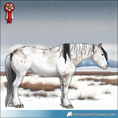 Horse Color:White Spotted Brown Ice Dun Sabino 