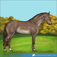 Horse Color:Liver Red Dun 