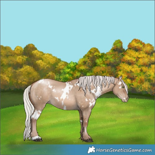 Horse Color:White Spotted Silver Brown Pearl Dun 