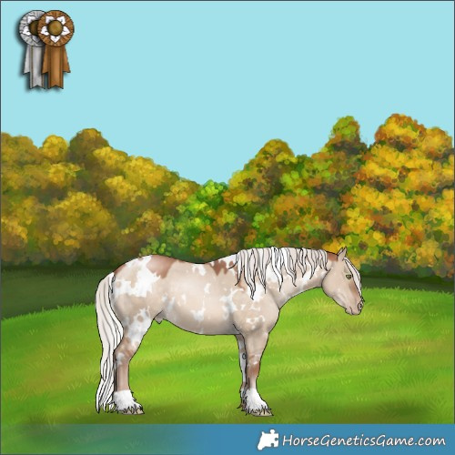 Horse Color:White Spotted Silver Brown Pearl Dun 