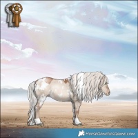 Horse Color:White Spotted Silver Brown Pearl Dun Mushroom 