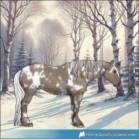 Horse Color:White Spotted Silver Grullo Mushroom 