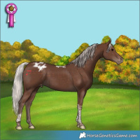 Horse Color:Silver Black Tobiano Varnish 