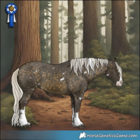 Horse Color:White Spotted Silver Buckskin Splash Appaloosa 