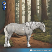 Horse Color:White Spotted Silver Buckskin Splash Appaloosa 
