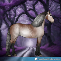 Horse Color:Gray Bay 