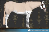 Horse Color:Smoky Creme Splash