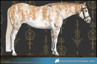 Horse Color:Perlino Splash  and Palomino Sabino Splash Frame 