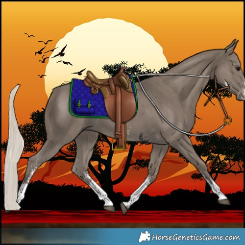 Horse Color:Silver Smoky Black Sabino 
