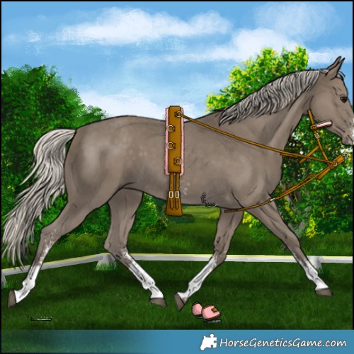 Horse Color:Silver Smoky Black Sabino 