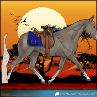Horse Color:Silver Smoky Black Sabino