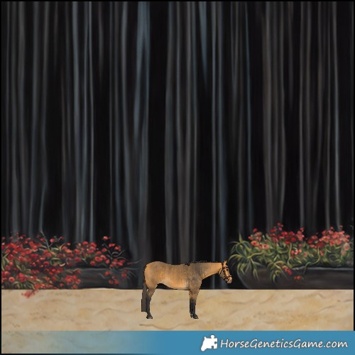 Horse Color:Buckskin  and Buckskin 