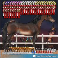 Horse Color:Brown 
