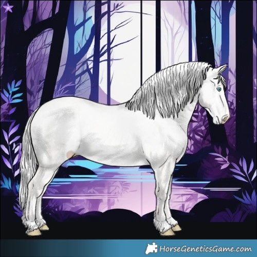 Horse Color:Silver Perlino Dun 