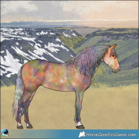 Horse Color:Nacre Silver Buckskin 