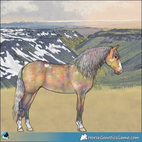 Horse Color:Nacre Silver Buckskin