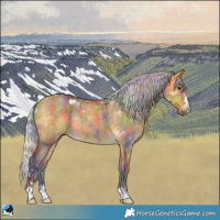 Horse Color:Nacre Silver Buckskin 