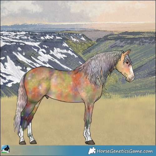Horse Color:Nacre Silver Buckskin 