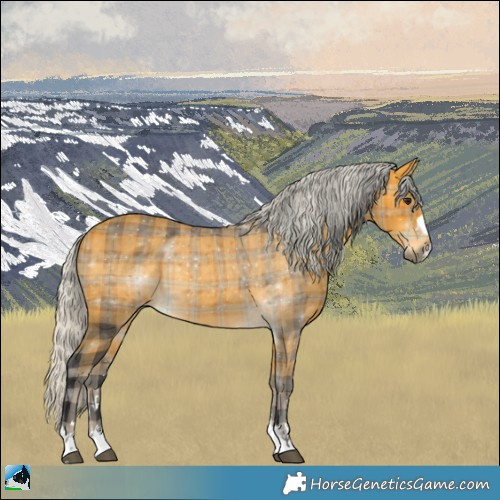 Horse Color:Plaid Silver Buckskin