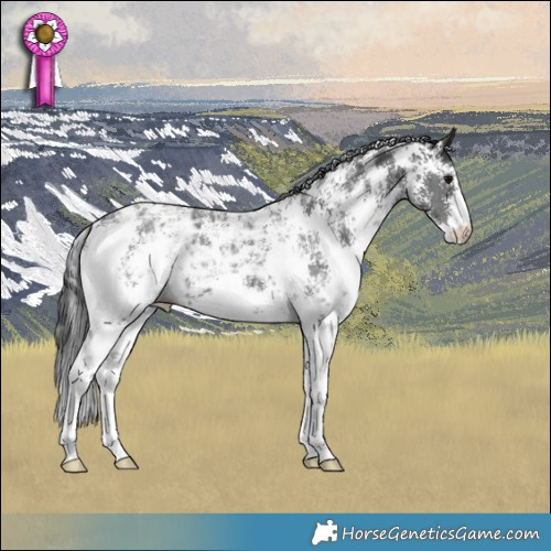 Horse Color:Black Ice Sabino 