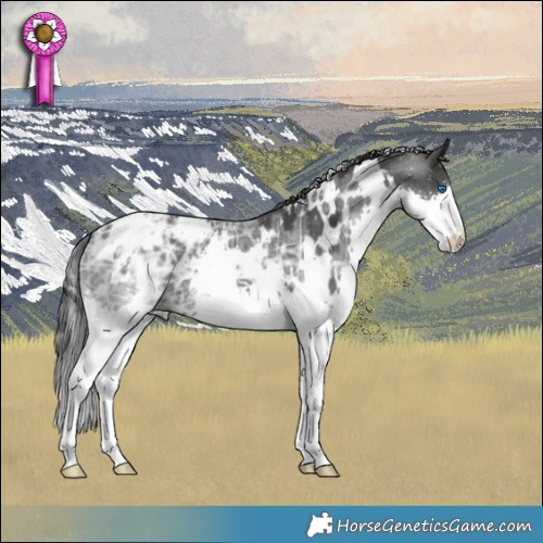 Horse Color:White Spotted Black Ice Splash 