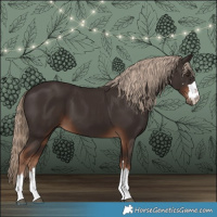 Horse Color:Liver Chestnut 