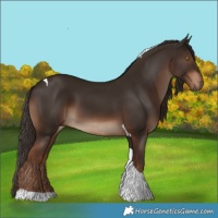 Horse Color:Liver Chestnut Tobiano 