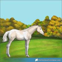 Horse Color:Silver Amber Champagne Dun Splash Tobiano Varnish Rabicano