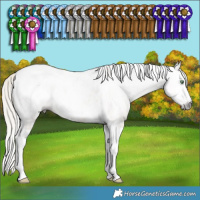 Horse Color:Gray Silver Sable Cream Champagne Dun Splash Tobiano Blanket 