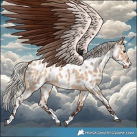Horse Color:Silver Brown Dun Near Leopard 