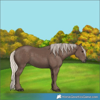 Horse Color:Silver Black 