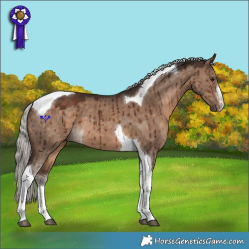Horse Color:White Spotted Silver Brown Dun Tobiano Brindle 