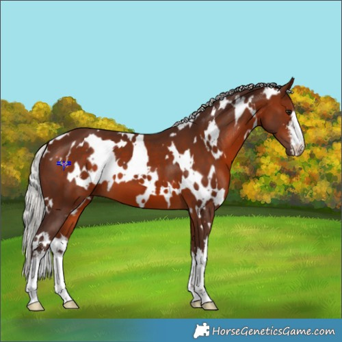 Horse Color:White Spotted Silver Brown 