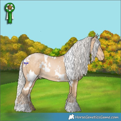 Horse Color:White Spotted Silver Buckskin Pearl 